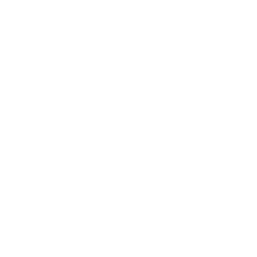 100% Organic Spices & Dry Fruits