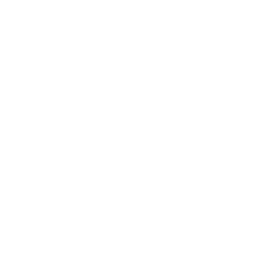 100% Pure Spices & Dry Fruits