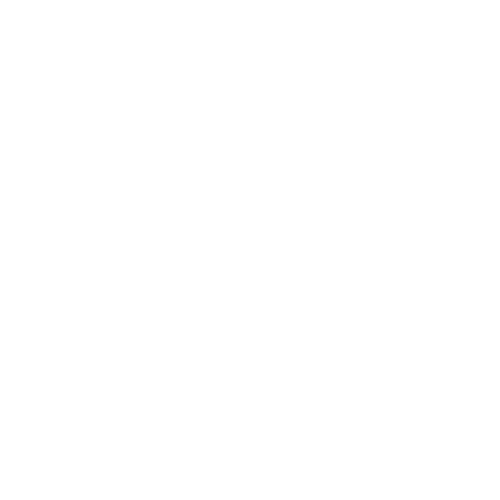 100% Satisfaction Spices & Dry Fruits