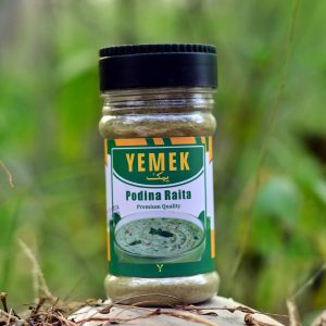 Podina Raita